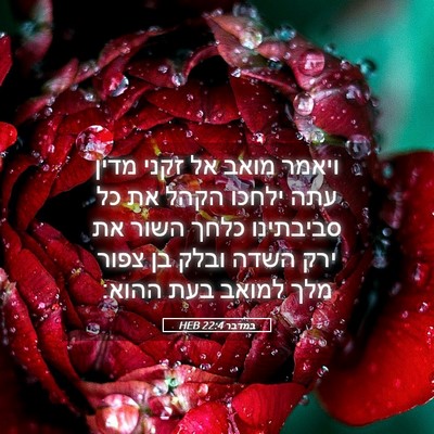 Picture 05 - במדבר 22:4 HEB - ויאמר מואב אל זקני מדין עתה - Bible Verse Picture