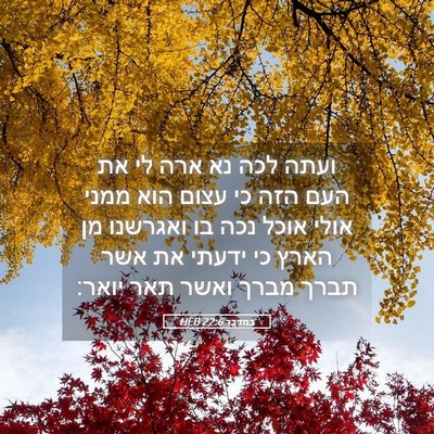 Picture 05 - במדבר 22:6 HEB - ועתה לכה נא ארה לי את העם - Bible Verse Picture