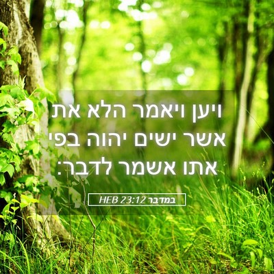 Picture 05 - במדבר 23:12 HEB - ויען ויאמר הלא את אשר ישים - Bible Verse Picture
