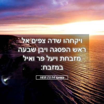 Picture 05 - במדבר 23:14 HEB - ויקחהו שדה צפים אל ראש - Bible Verse Picture