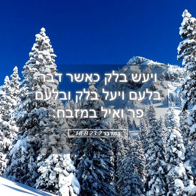 Picture 05 - במדבר 23:2 HEB - ויעש בלק כאשר דבר בלעם ויעל - Bible Verse Picture