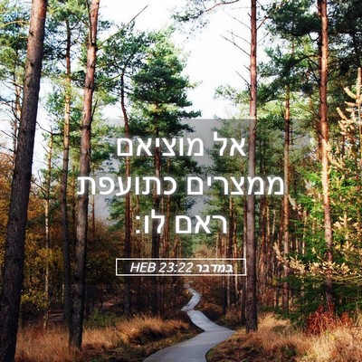 Picture 05 - במדבר 23:22 HEB - אל מוציאם ממצרים כתועפת - Bible Verse Picture