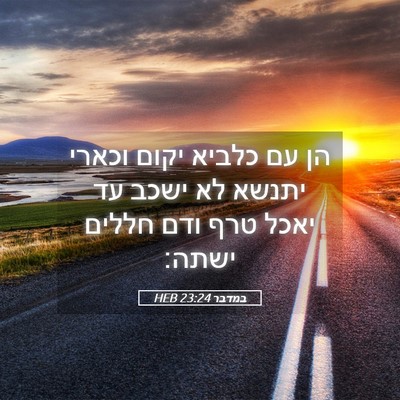 Picture 05 - במדבר 23:24 HEB - הן עם כלביא יקום וכארי - Bible Verse Picture