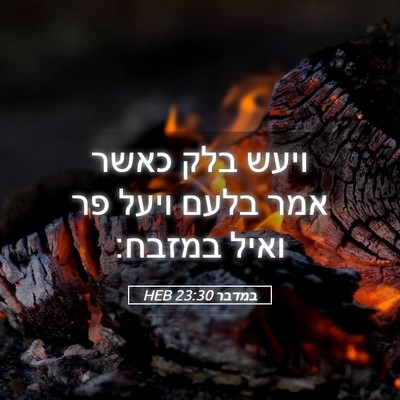 Picture 05 - במדבר 23:30 HEB - ויעש בלק כאשר אמר בלעם ויעל - Bible Verse Picture