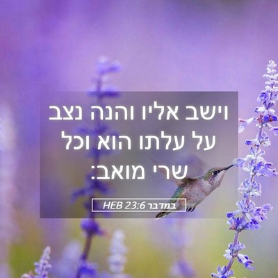 Picture 05 - במדבר 23:6 HEB - וישב אליו והנה נצב על עלתו - Bible Verse Picture