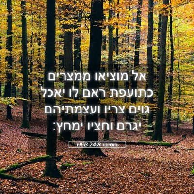 Picture 05 - במדבר 24:8 HEB - אל מוציאו ממצרים כתועפת - Bible Verse Picture