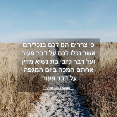 Picture 05 - במדבר 25:18 HEB - כי צררים הם לכם בנכליהם אשר - Bible Verse Picture