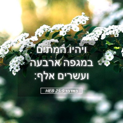 Picture 05 - במדבר 25:9 HEB - ויהיו המתים במגפה ארבעה - Bible Verse Picture