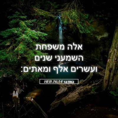 Picture 05 - במדבר 26:14 HEB - אלה משפחת השמעני שנים - Bible Verse Picture