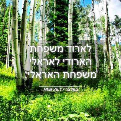 Picture 05 - במדבר 26:17 HEB - לארוד משפחת הארודי לאראלי - Bible Verse Picture