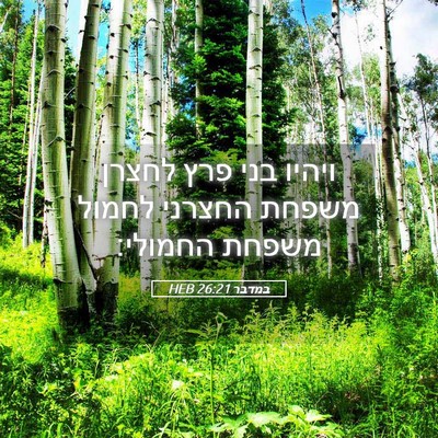 Picture 05 - במדבר 26:21 HEB - ויהיו בני פרץ לחצרן משפחת - Bible Verse Picture