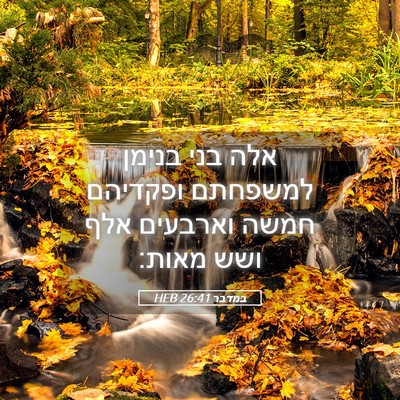 Picture 05 - במדבר 26:41 HEB - אלה בני בנימן למשפחתם - Bible Verse Picture