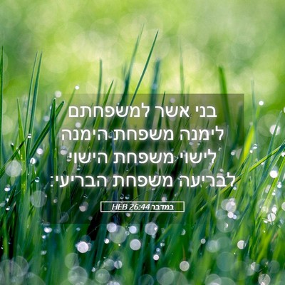 Picture 05 - במדבר 26:44 HEB - בני אשר למשפחתם לימנה - Bible Verse Picture