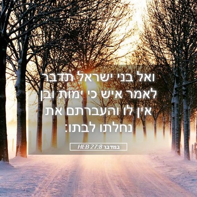 Picture 05 - במדבר 27:8 HEB - ואל בני ישראל תדבר לאמר איש - Bible Verse Picture