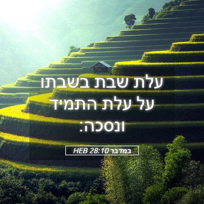 Picture 05 - במדבר 28:10 HEB - עלת שבת בשבתו על עלת התמיד - Bible Verse Picture