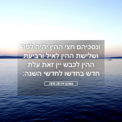 Picture 05 - במדבר 28:14 HEB - ונסכיהם חצי ההין יהיה לפר - Bible Verse Picture