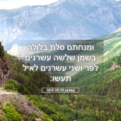 Picture 05 - במדבר 28:20 HEB - ומנחתם סלת בלולה בשמן שלשה - Bible Verse Picture
