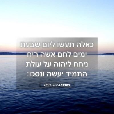 Picture 05 - במדבר 28:24 HEB - כאלה תעשו ליום שבעת ימים - Bible Verse Picture
