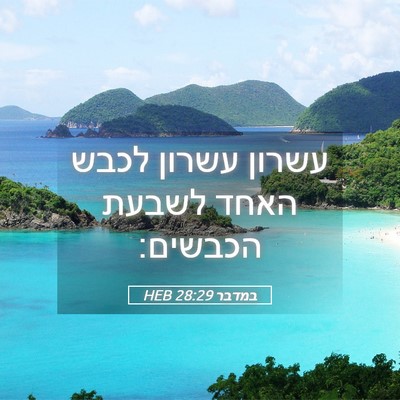 Picture 05 - במדבר 28:29 HEB - עשרון עשרון לכבש האחד - Bible Verse Picture