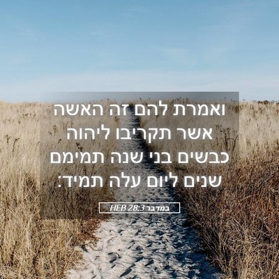 Picture 05 - במדבר 28:3 HEB - ואמרת להם זה האשה אשר - Bible Verse Picture