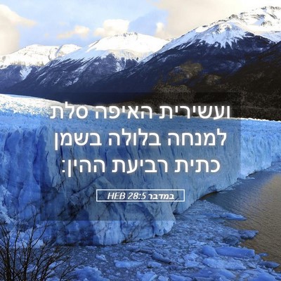 Picture 05 - במדבר 28:5 HEB - ועשירית האיפה סלת למנחה - Bible Verse Picture