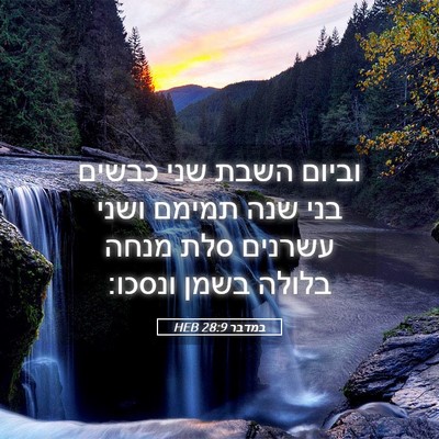 Picture 05 - במדבר 28:9 HEB - וביום השבת שני כבשים בני - Bible Verse Picture