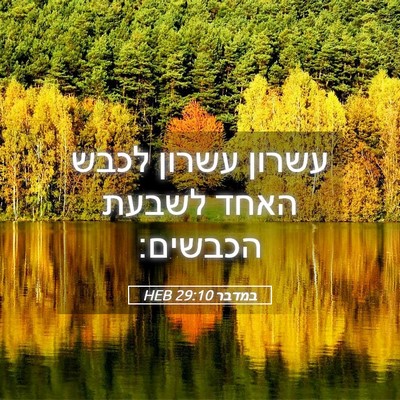 Picture 05 - במדבר 29:10 HEB - עשרון עשרון לכבש האחד - Bible Verse Picture