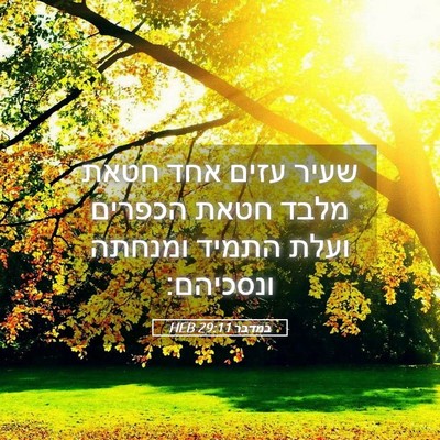 Picture 05 - במדבר 29:11 HEB - שעיר עזים אחד חטאת מלבד - Bible Verse Picture