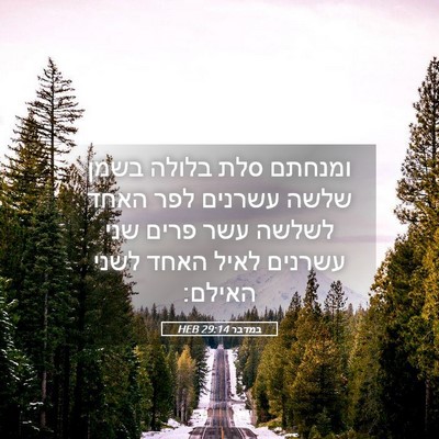 Picture 05 - במדבר 29:14 HEB - ומנחתם סלת בלולה בשמן שלשה - Bible Verse Picture