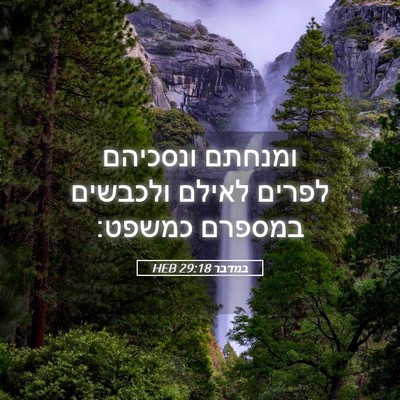 Picture 05 - במדבר 29:18 HEB - ומנחתם ונסכיהם לפרים לאילם - Bible Verse Picture