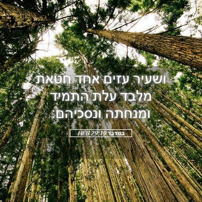 Picture 05 - במדבר 29:19 HEB - ושעיר עזים אחד חטאת מלבד - Bible Verse Picture
