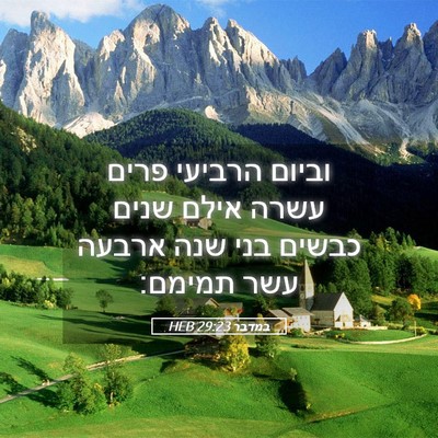 Picture 05 - במדבר 29:23 HEB - וביום הרביעי פרים עשרה - Bible Verse Picture