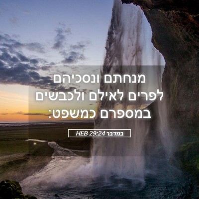 Picture 05 - במדבר 29:24 HEB - מנחתם ונסכיהם לפרים לאילם - Bible Verse Picture