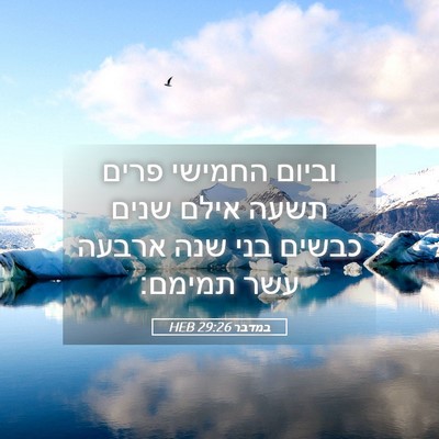 Picture 05 - במדבר 29:26 HEB - וביום החמישי פרים תשעה - Bible Verse Picture