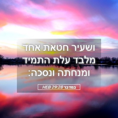 Picture 05 - במדבר 29:28 HEB - ושעיר חטאת אחד מלבד עלת - Bible Verse Picture