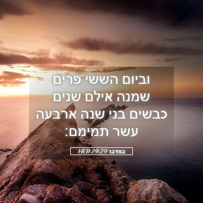 Picture 05 - במדבר 29:29 HEB - וביום הששי פרים שמנה אילם - Bible Verse Picture