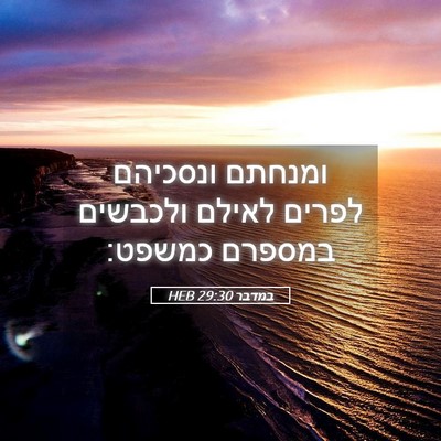 Picture 05 - במדבר 29:30 HEB - ומנחתם ונסכיהם לפרים לאילם - Bible Verse Picture