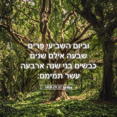 Picture 05 - במדבר 29:32 HEB - וביום השביעי פרים שבעה - Bible Verse Picture