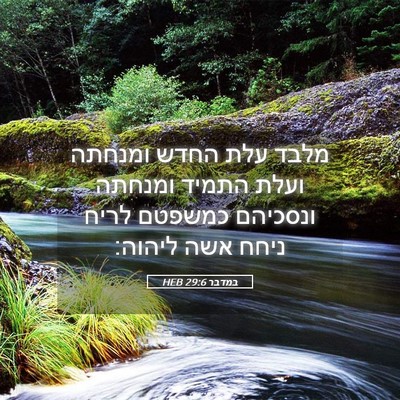Picture 05 - במדבר 29:6 HEB - מלבד עלת החדש ומנחתה ועלת - Bible Verse Picture