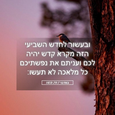 Picture 05 - במדבר 29:7 HEB - ובעשור לחדש השביעי הזה - Bible Verse Picture