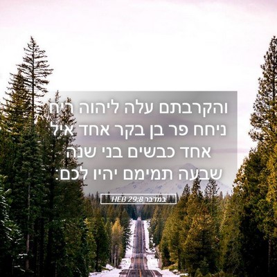 Picture 05 - במדבר 29:8 HEB - והקרבתם עלה ליהוה ריח ניחח - Bible Verse Picture