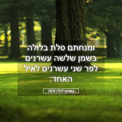 Picture 05 - במדבר 29:9 HEB - ומנחתם סלת בלולה בשמן שלשה - Bible Verse Picture