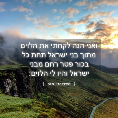 Picture 05 - במדבר 3:12 HEB - ואני הנה לקחתי את הלוים - Bible Verse Picture