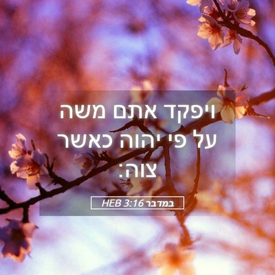 Picture 05 - במדבר 3:16 HEB - ויפקד אתם משה על פי יהוה - Bible Verse Picture