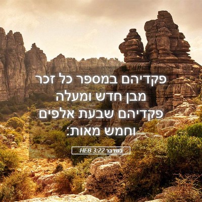Picture 05 - במדבר 3:22 HEB - פקדיהם במספר כל זכר מבן חדש - Bible Verse Picture