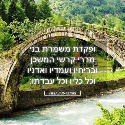 Picture 05 - במדבר 3:36 HEB - ופקדת משמרת בני מררי קרשי - Bible Verse Picture