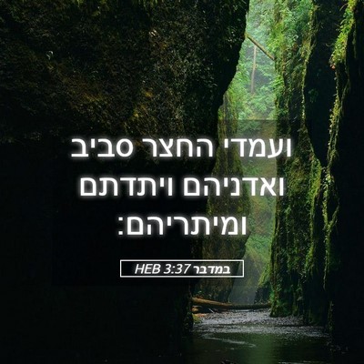 Picture 05 - במדבר 3:37 HEB - ועמדי החצר סביב ואדניהם - Bible Verse Picture