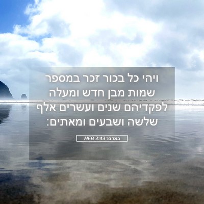 Picture 05 - במדבר 3:43 HEB - ויהי כל בכור זכר במספר שמות - Bible Verse Picture