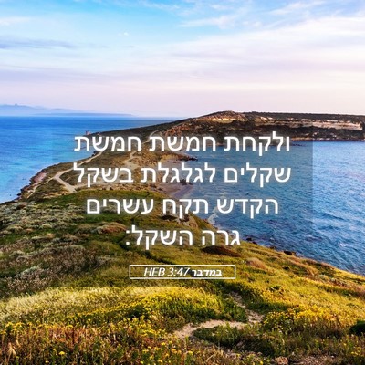 Picture 05 - במדבר 3:47 HEB - ולקחת חמשת חמשת שקלים - Bible Verse Picture