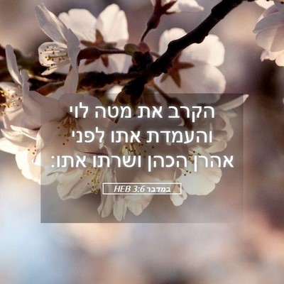 Picture 05 - במדבר 3:6 HEB - הקרב את מטה לוי והעמדת אתו - Bible Verse Picture